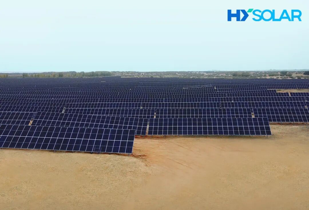 202512036c2fcc16d56b4cf189ca1a54e222a688